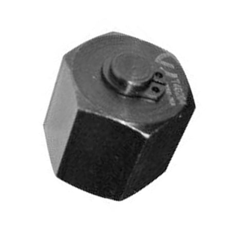 SES T40162A VW/Audi Injector Plug
