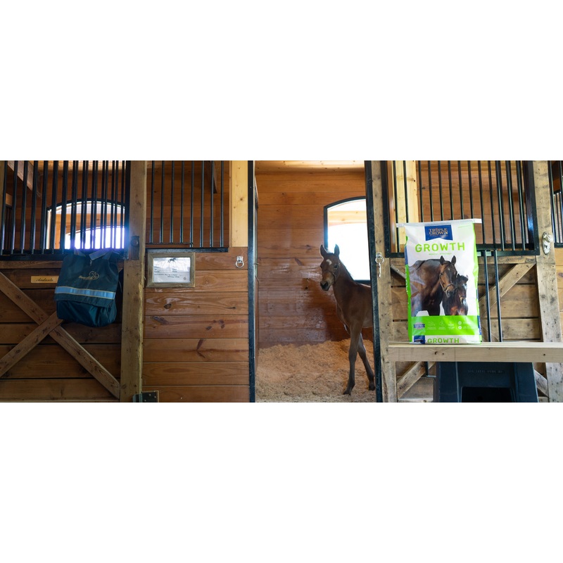 Triple Crown Growth Textured Horse Feed