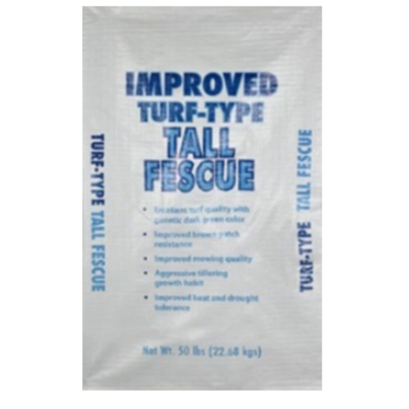 Warrior Tall Fescue|50 lb