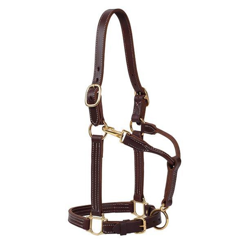 Weaver Equine Track Halter|1″ halter for Large Horse