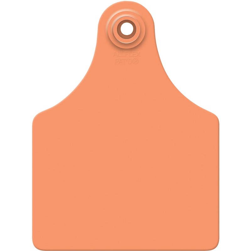 Allflex Global Large Blank Calf Ear Tags 25 Count Orange