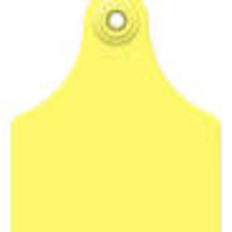 Allflex Global Maxi Female|Yellow