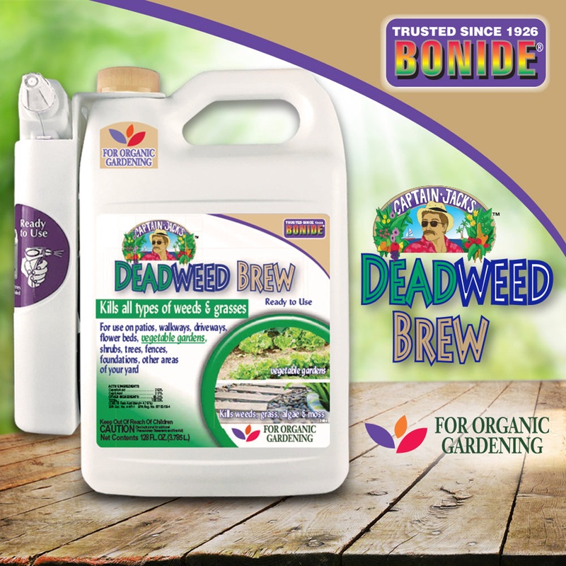 CAPTAIN JACKS Deadweed Brew RTU