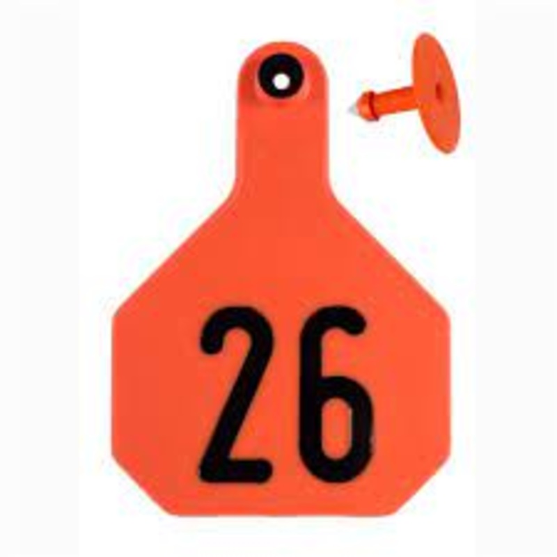 Y-Tex 4 Star Large Cattle Ear Tags Orange Numbered 26-50