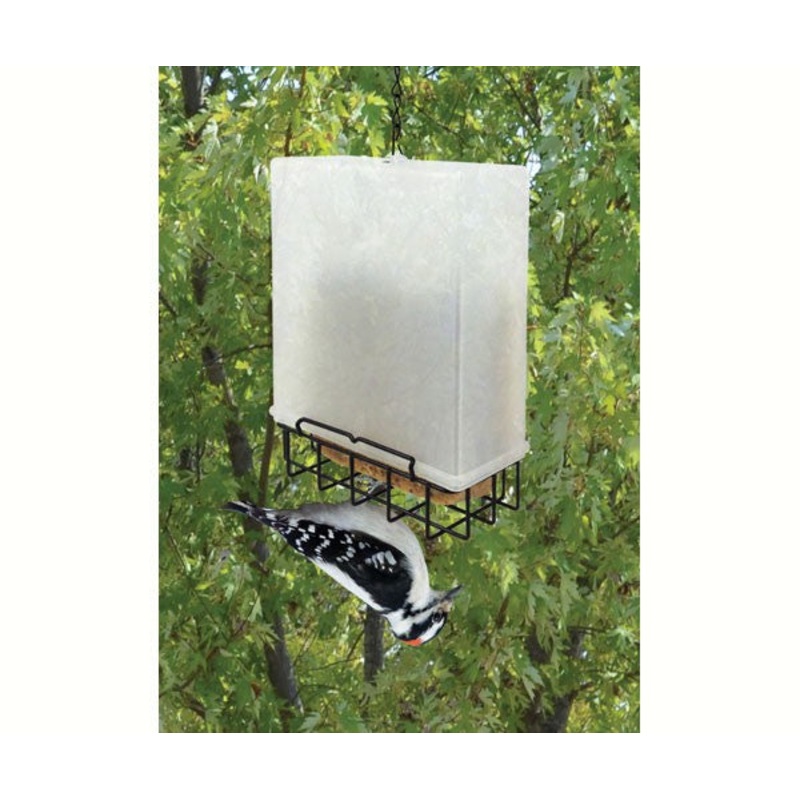 Songbird Essentials Suet Saver Feeder