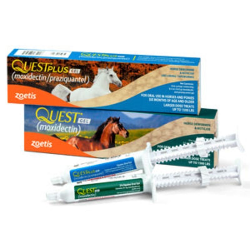 Zoetis Quest Horse Dewormer Gel