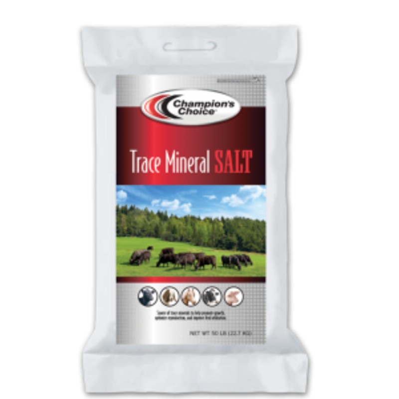 Trace Mineral Salt|50 lb Block|50 lb Bag