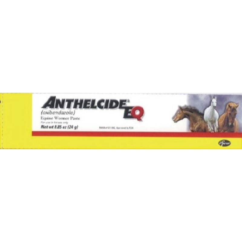 ZOETIS ANTHELCIDEEQ PASTE|24g
