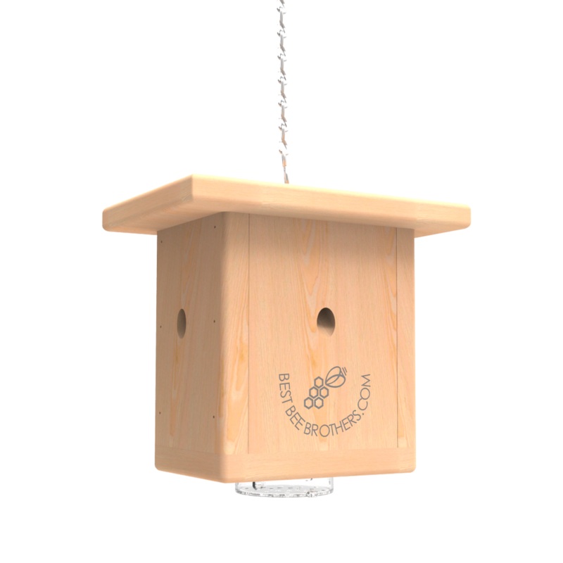 Best Bee Brothers Pine Wood Carpenter Bee Box Trap