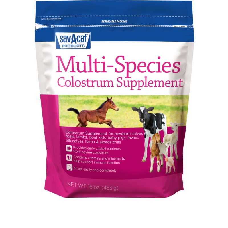 Sav-A-Caf Multi-Species Colostrum Supplement