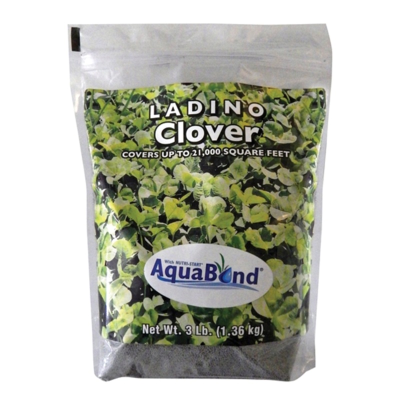 Southern States Ladino Clover|3 lbs