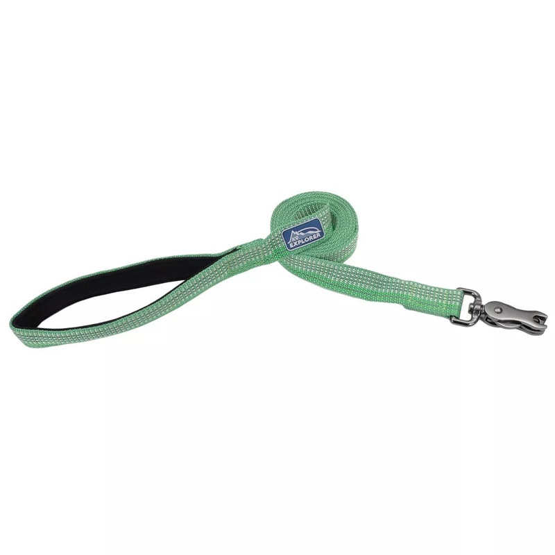 Coastal Pet Products K9 Explorer Brights Reflective Dog Leash Meadow 5/8 x 06′