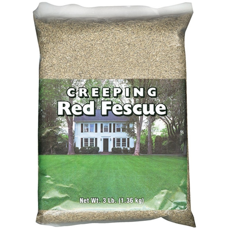 Southern States Creeping Red Fescue