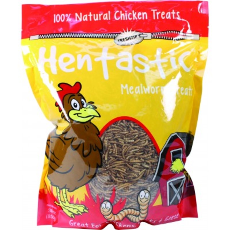 Hentastic Dried Mealworms|30 oz