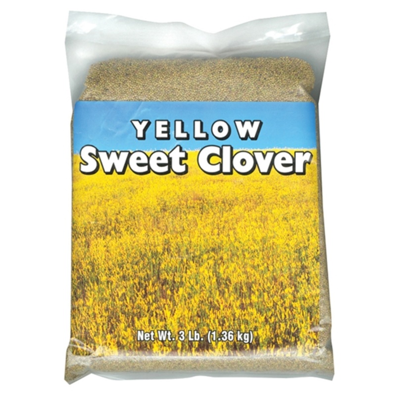 Southern States Yellow Sweet Clover