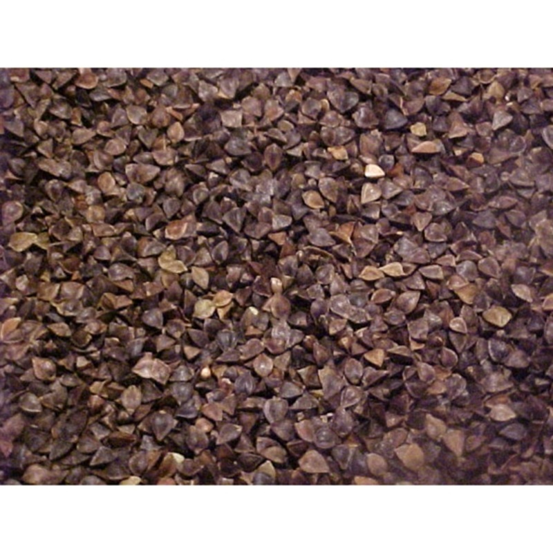 Southern States Buckwheat|50 lbs