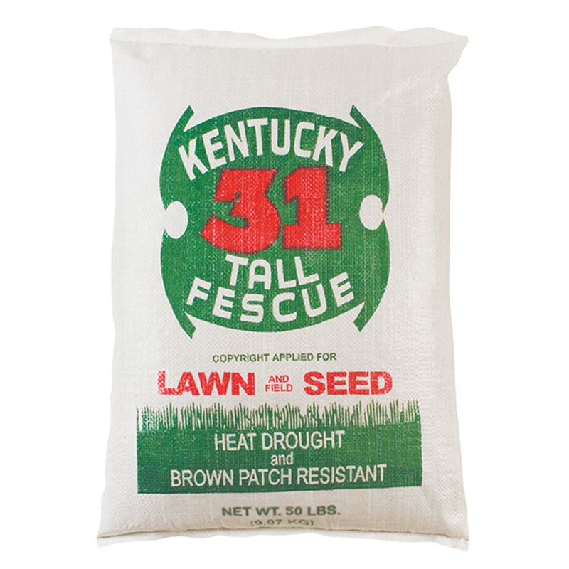 Kentucky 31 Tall Fescue|50 lbs|5 lb