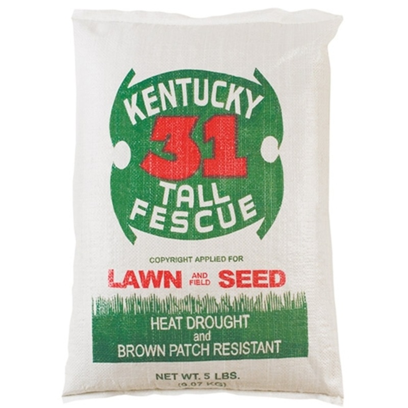 Southern States Kentucky 31 Tall Fescue Lawn & Garden And Field Seed