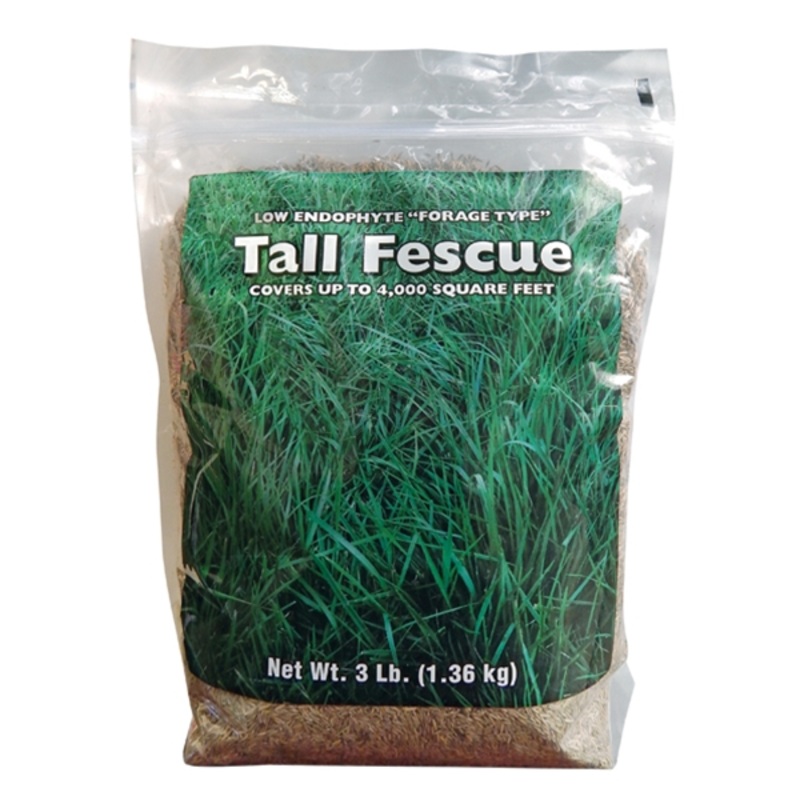 Southern States Low Endophyte Forage Type In Tall Fescue