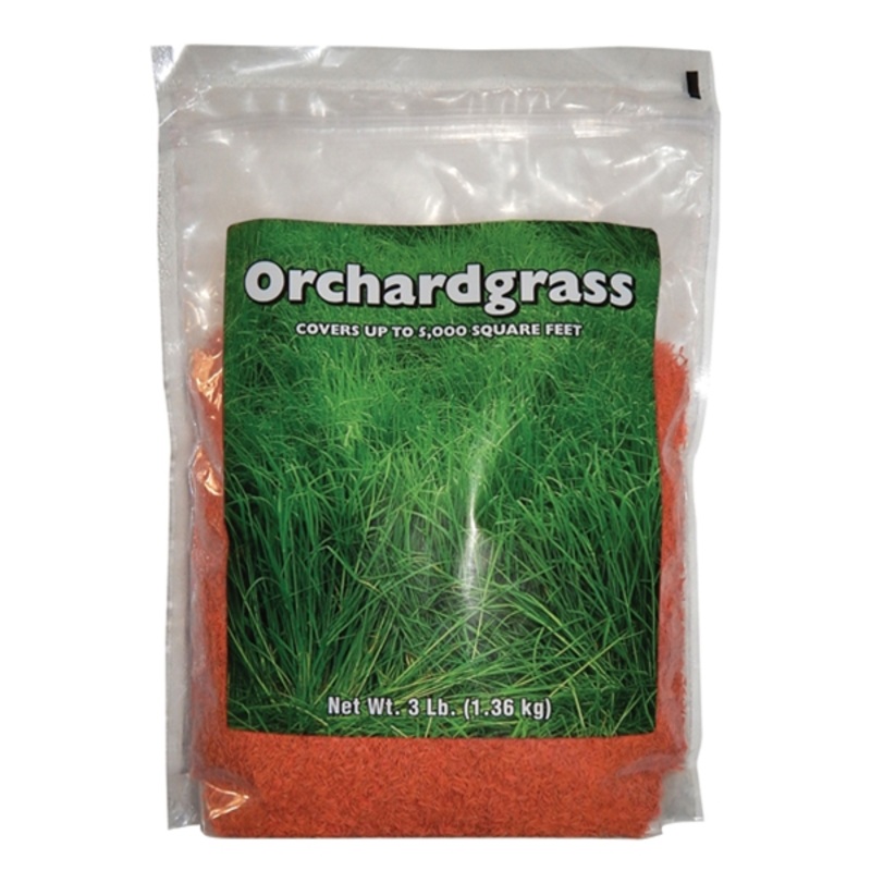 Southern States Orchardgrass|3 lbs