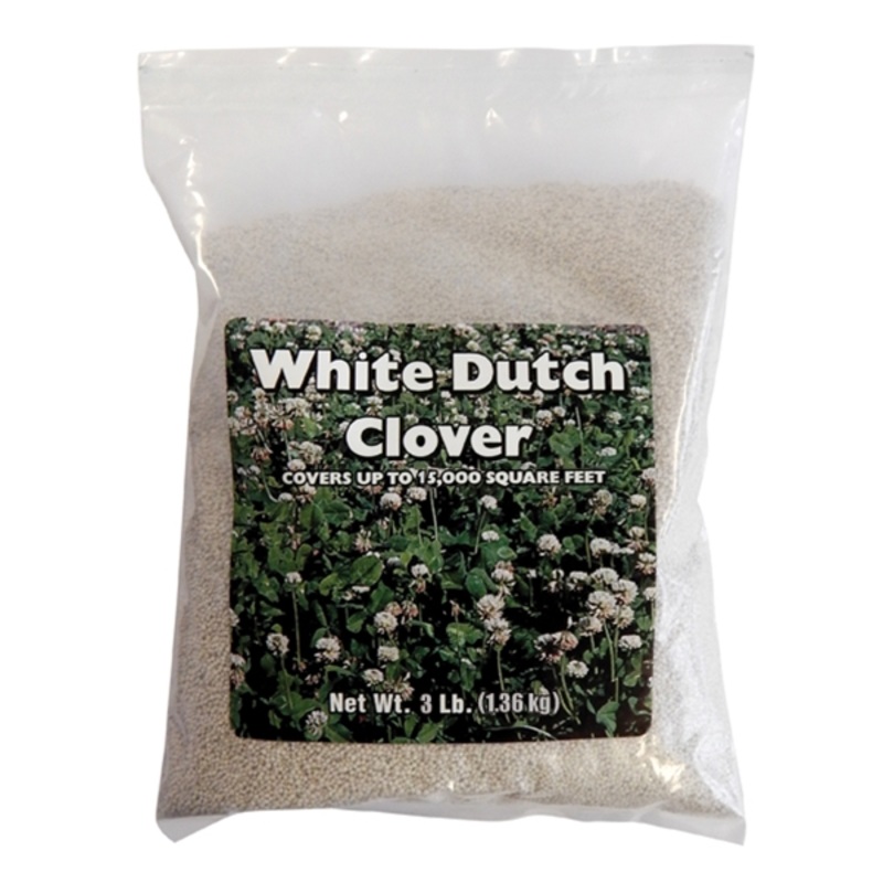 Southern States White Clover|3 lbs