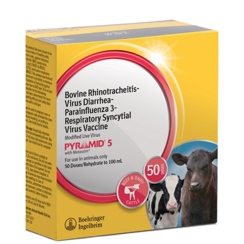 Boehringer Ingelheim Pyramid 5 Cattle Vaccine