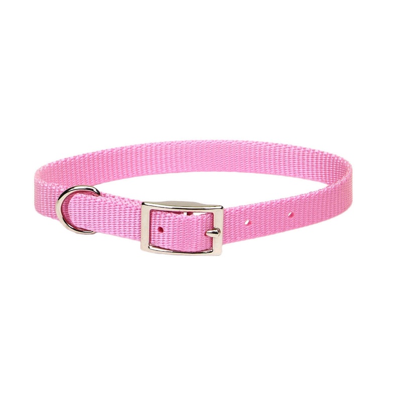 Coastal Single-Ply Dog Collar|5/8″ X 12″|5/8″ X 14″|5/8″ X 16″|Bright Pink|Lime|Orchid