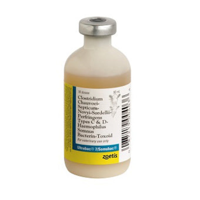Zoetis ULTRABAC 7/SOMUBAC|50 Dose|10 Dose|50-Dose