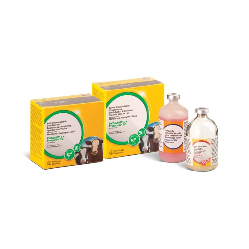 Boehringer Ingelheim Cattle Pyramid + Presponse SQ 10 Dose