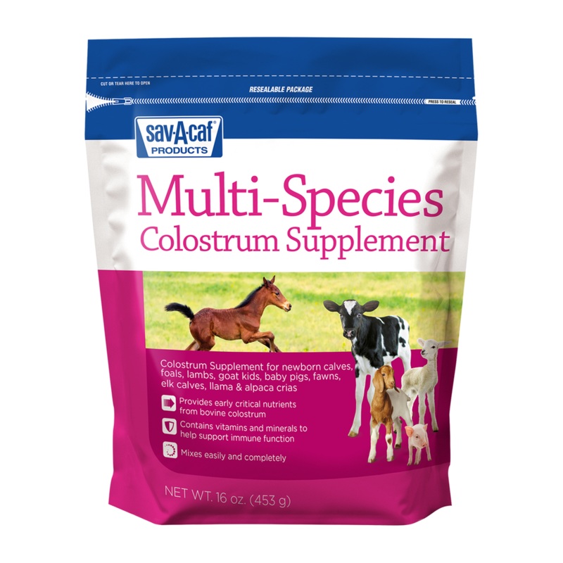 Sav-A-Caf Multi-Species Colostrum Supplement 16 oz