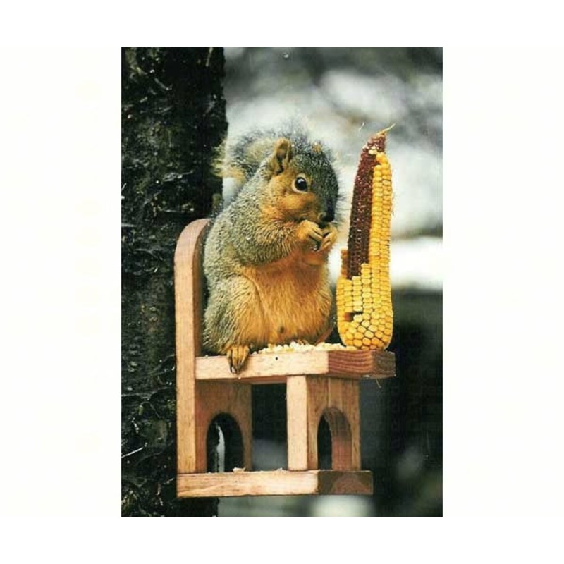 Songbird Essentials Squirrel Feeder Chair
