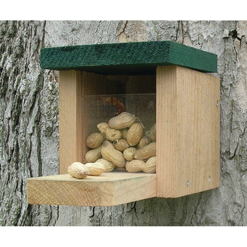 Songbird Essentials Squirrel Feeder Snack Box