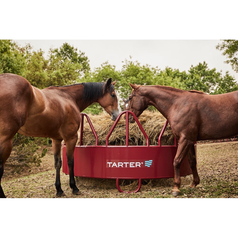 Tarter Equine Pro Hay Feeder with Hay Saver Red
