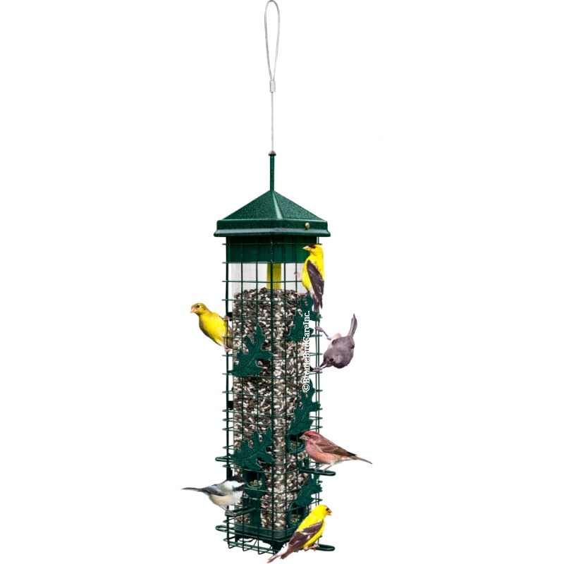 Brome Bird Care Squirrel Solution200 Squirrel-proof Bird Feeder w/6 Feeding Ports, 3.4-pound Seed Saver