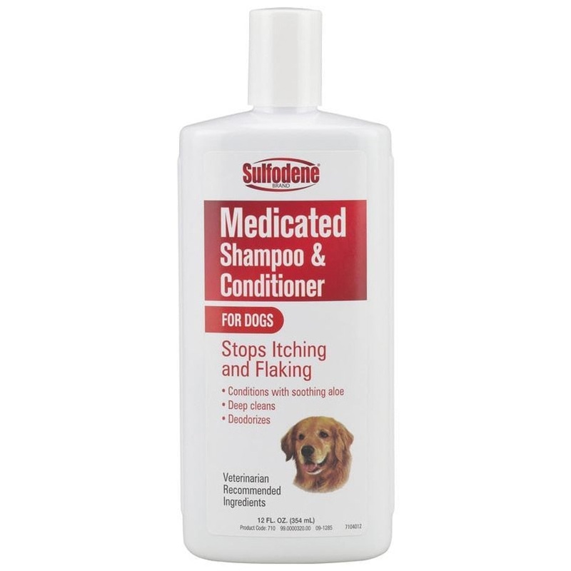 SULFODENE SHAMPOO|12 OZ