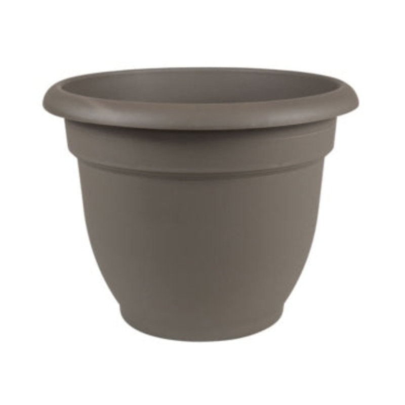 Bloem Ariana|6″ Peppercorn|8″ Peppercorn