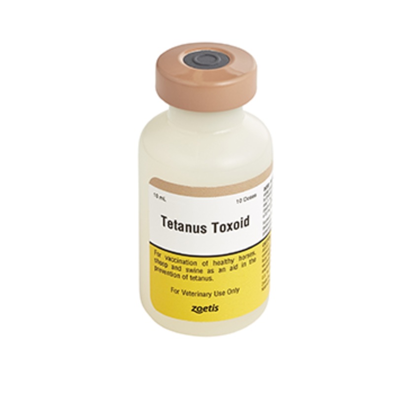 Zoetis Tetanus Toxoid Equine|1 Dose|10 Dose