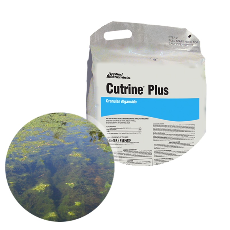 Applied Biochemists Cutrine Plus Granular Algaecide
