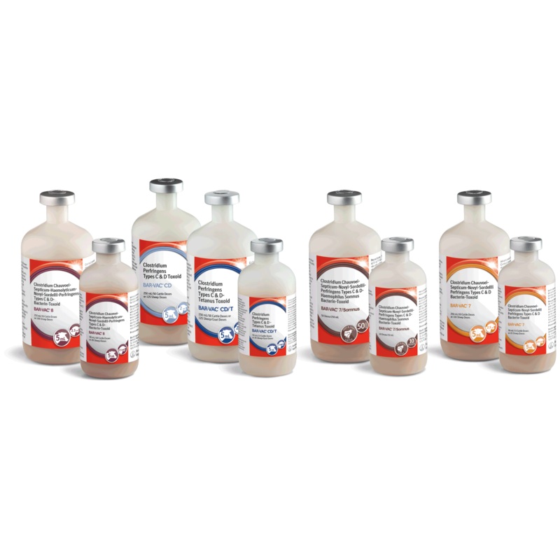 Boehringer Ingelheim Bar-Vac 7 Cattle and Sheep Vaccine