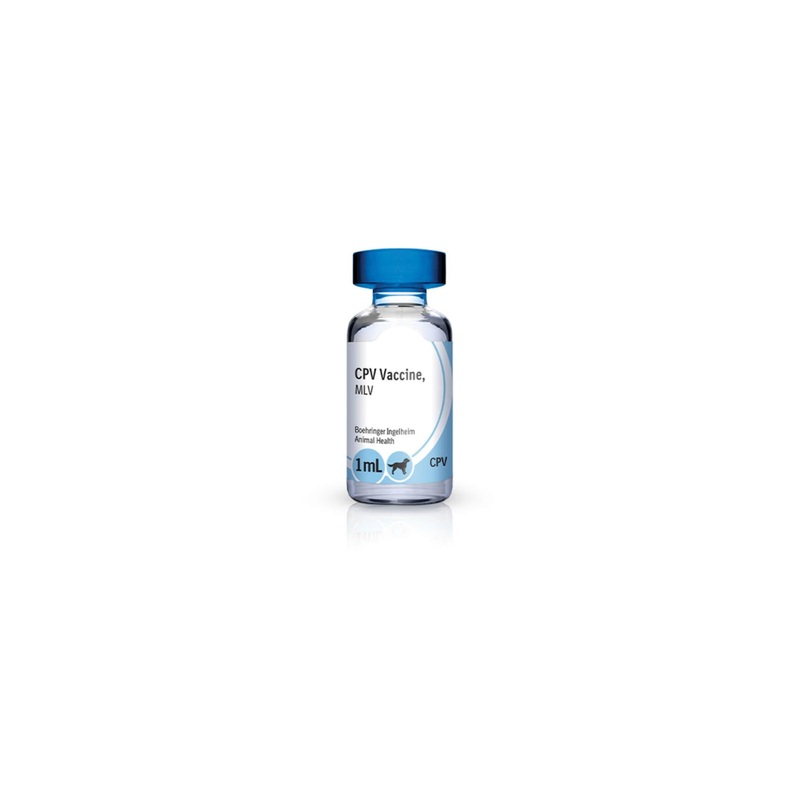 Boehringer Ingelheim Solo-Jec Kennel Cough Vaccine