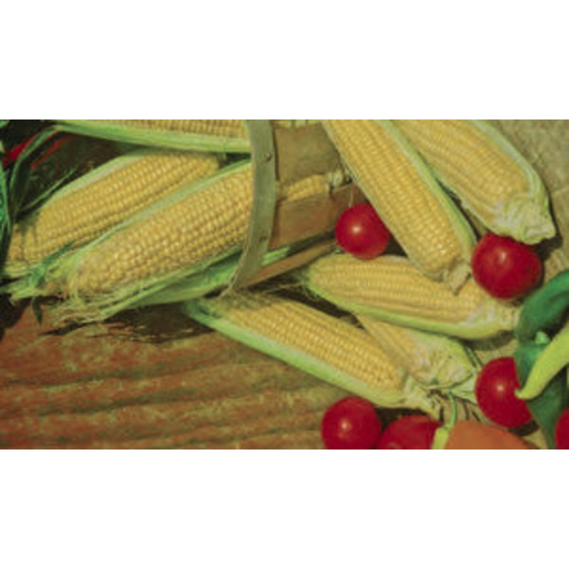 SWEETCORN INCREDIBLE HYBRID|1/2 LB (EACH)
