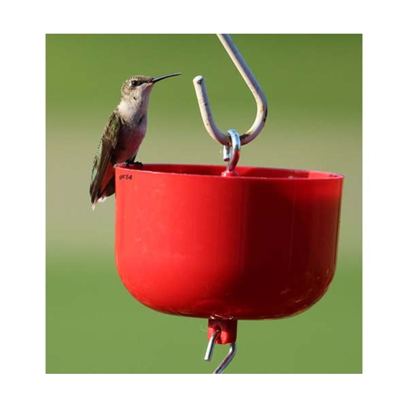 Songbird Essentials Nectar Protector Jr Red Bulk 9 oz