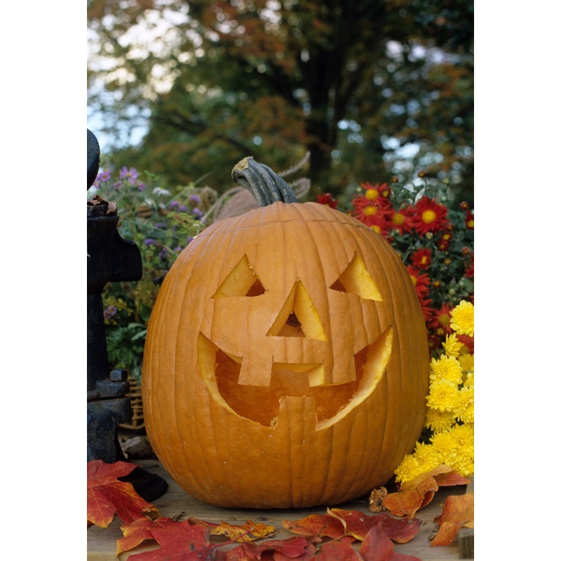 PUMPKIN JACK O’LANTERN|1/2 OZ (EACH)