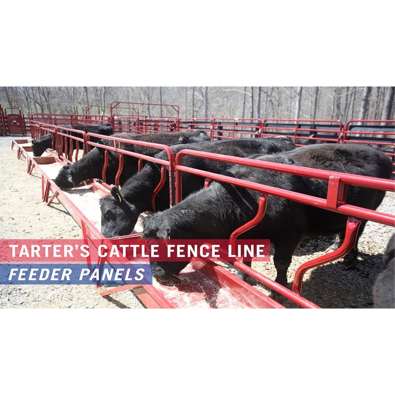 Tarter Fence Line Feeder Panels 10 ft.