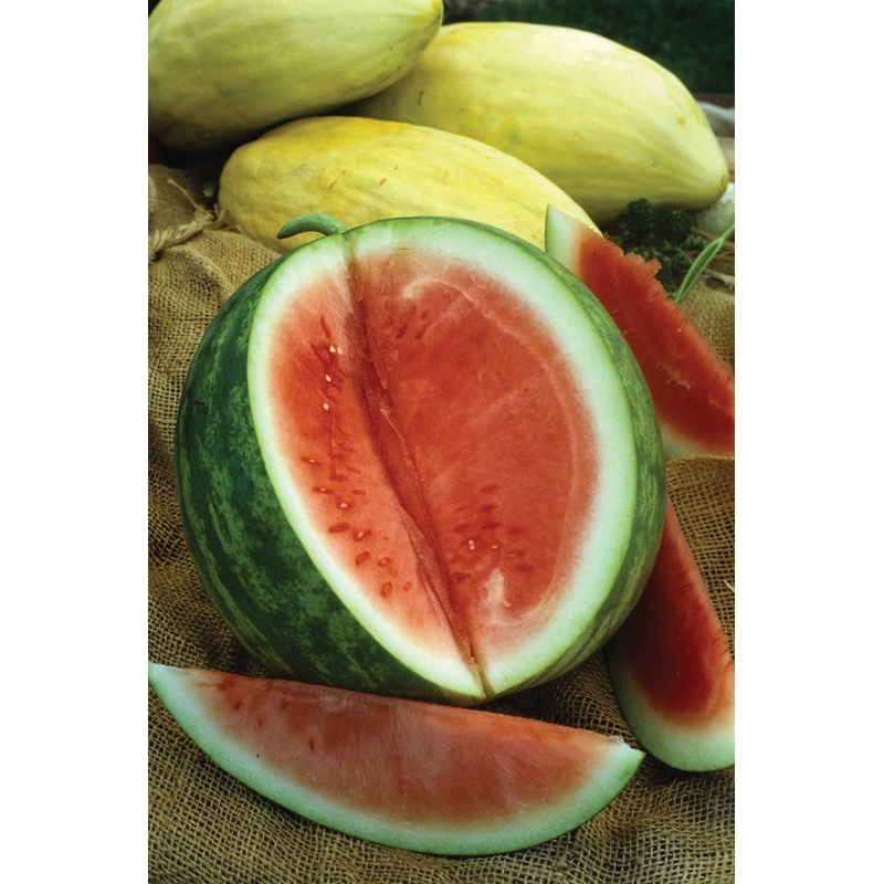 WATERMELON CRIMSON SWEET|1/2 OZ (EACH)