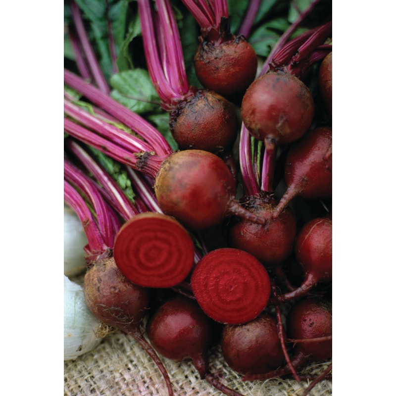 BEET RED ACE HYBRID|1/2 OZ (EACH)